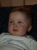 P2060094.JPG - 2008:02:06 17:15:11