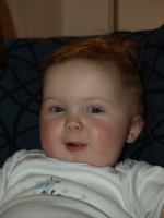 P2060097.JPG - 2008:02:06 17:15:13