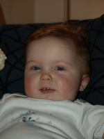 P2060099.JPG - 2008:02:06 17:15:15