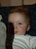 P2060101.JPG - 2008:02:06 17:15:16