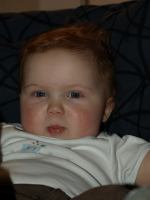 P2060102.JPG - 2008:02:06 17:15:17