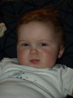 P2060104.JPG - 2008:02:06 17:15:18