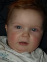 P2060108.JPG - 2008:02:06 17:15:21