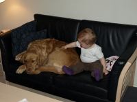 P2060165.JPG - 2008:02:06 18:49:29