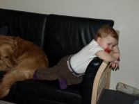 P2060167.JPG - 2008:02:06 18:49:54