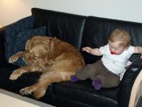 P2060168.JPG - 2008:02:06 18:49:57