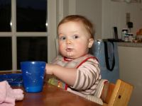 P2080251.JPG - 2008:02:08 07:35:22