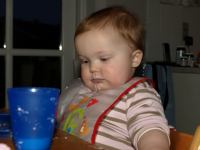 P2080252.JPG - 2008:02:08 07:35:31