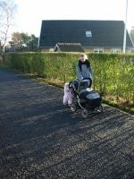 P2090325.JPG - 2008:02:09 09:25:28