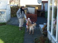 P2090346.JPG - 2008:02:09 09:44:30