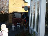 P2090356.JPG - 2008:02:09 09:45:35