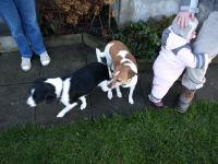 P2090362.JPG - 2008:02:09 09:46:39