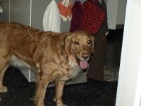 P2150557.JPG - 2008:02:15 17:45:50