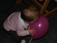 P2150559.JPG - 2008:02:15 17:47:11