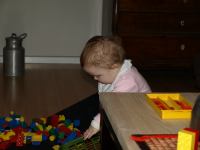 P2150603.JPG - 2008:02:15 19:35:51