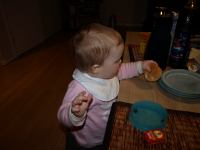 P2150604.JPG - 2008:02:15 19:36:26