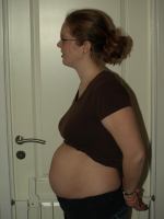 P2170658.JPG - 2008:02:17 18:13:05