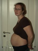 P2170659.JPG - 2008:02:17 18:13:09