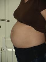 P2170660.JPG - 2008:02:17 18:13:14