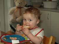 P2200696.JPG - 2008:02:20 15:43:23