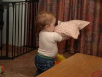 P2200740.JPG - 2008:02:20 19:04:31