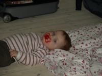 P3020874.JPG - 2008:03:02 14:03:09