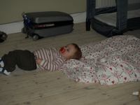 P3020876.JPG - 2008:03:02 14:03:18