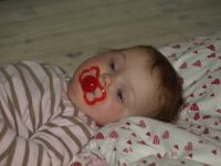 P3020877.JPG - 2008:03:02 14:03:23