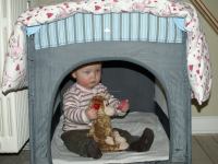 P3020921.JPG - 2008:03:02 17:19:21