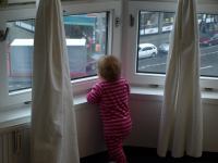 P3041051.JPG - 2008:03:04 08:07:51