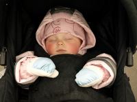 P3041128.JPG - 2008:03:04 10:33:44