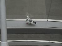 P3041132.JPG - 2008:03:04 10:36:08