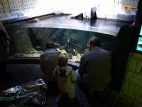 P3041171.JPG - 2008:03:04 12:48:47