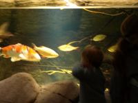 P3041178.JPG - 2008:03:04 12:55:47