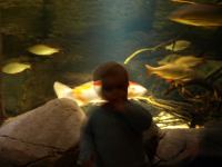 P3041179.JPG - 2008:03:04 12:55:53