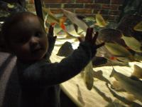 P3041185.JPG - 2008:03:04 12:58:43