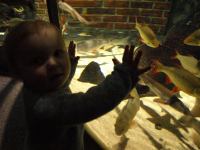 P3041186.JPG - 2008:03:04 12:58:44