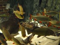 P3041188.JPG - 2008:03:04 13:00:06