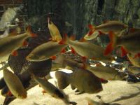 P3041189.JPG - 2008:03:04 13:00:16