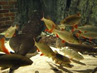 P3041190.JPG - 2008:03:04 13:01:15