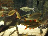 P3041191.JPG - 2008:03:04 13:01:29