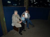 P3041195.JPG - 2008:03:04 13:07:01