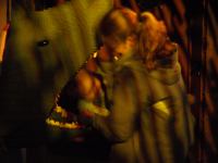 P3041197.JPG - 2008:03:04 13:08:20