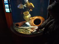 P3041200.JPG - 2008:03:04 13:10:00