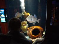 P3041203.JPG - 2008:03:04 13:10:43