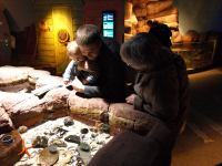 P3041205.JPG - 2008:03:04 13:21:03