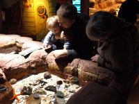 P3041206.JPG - 2008:03:04 13:21:13