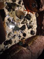 P3041209.JPG - 2008:03:04 13:21:54