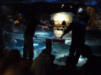 P3041210.JPG - 2008:03:04 13:32:56