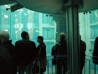 P3041218.JPG - 2008:03:04 14:01:58